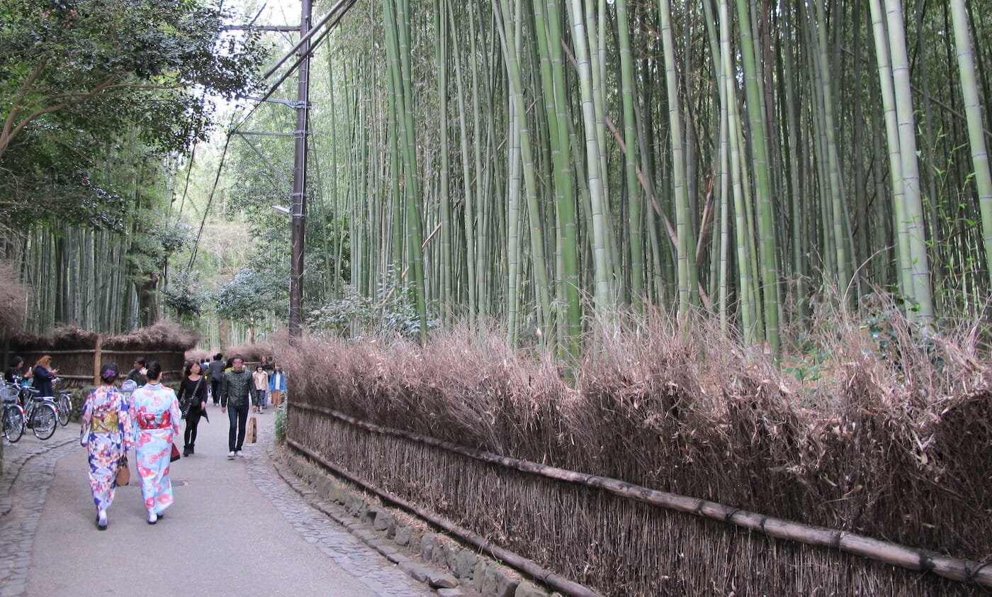 Bosque de Bambú en Arashiyama