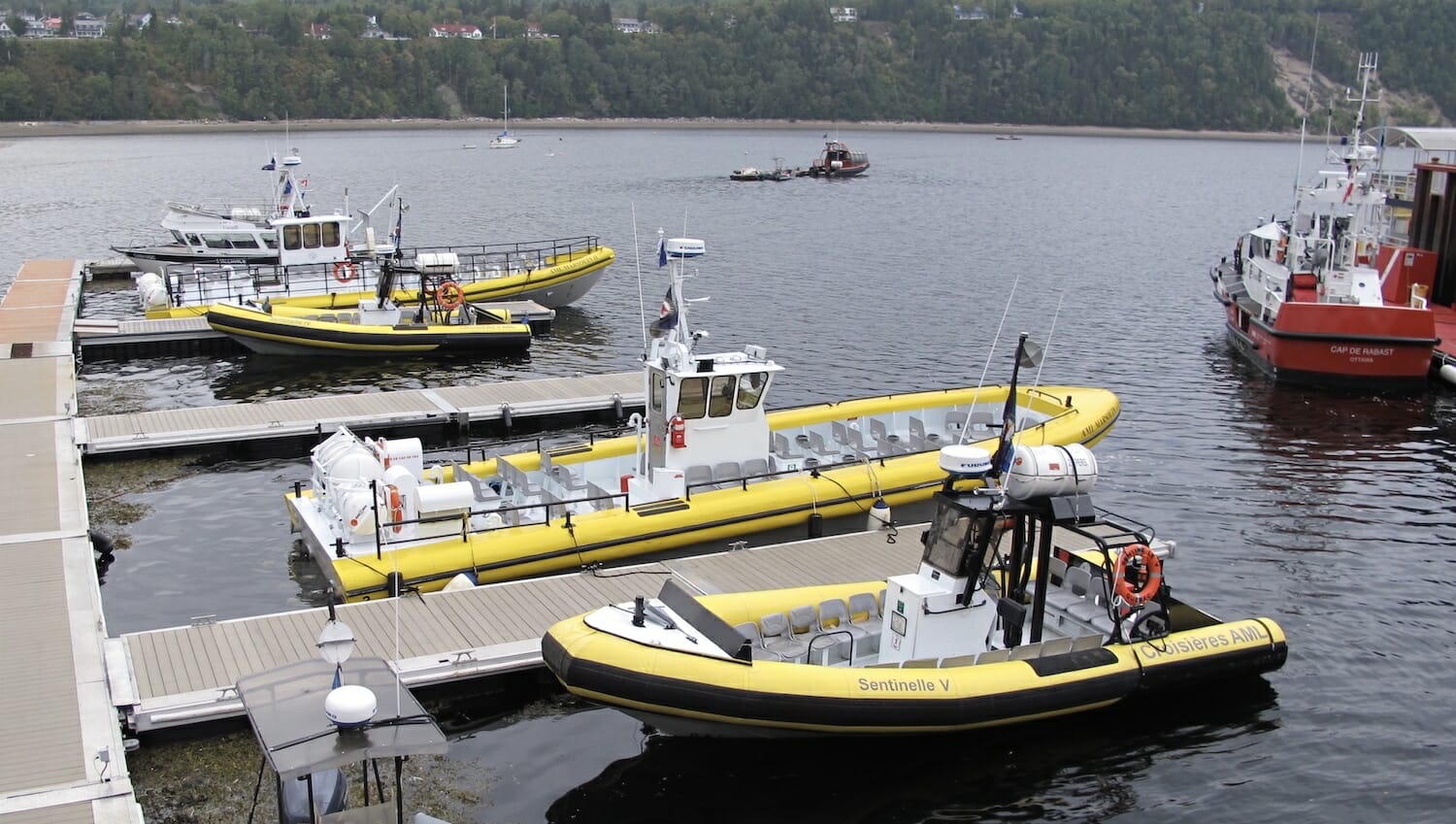 Lanchas rápidas en Tadoussac