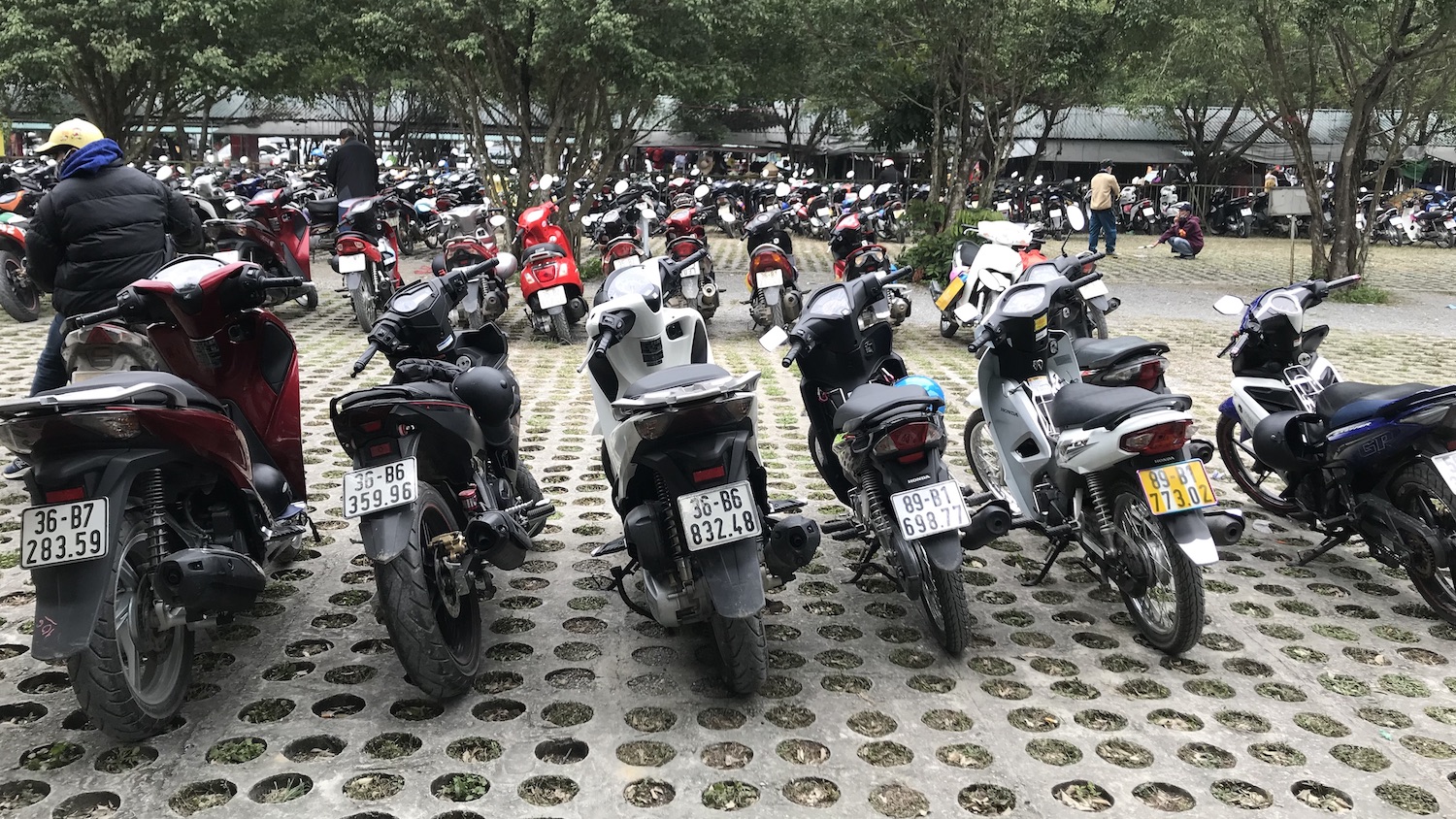 Parkin lleno de motos en Trang An Vietnam