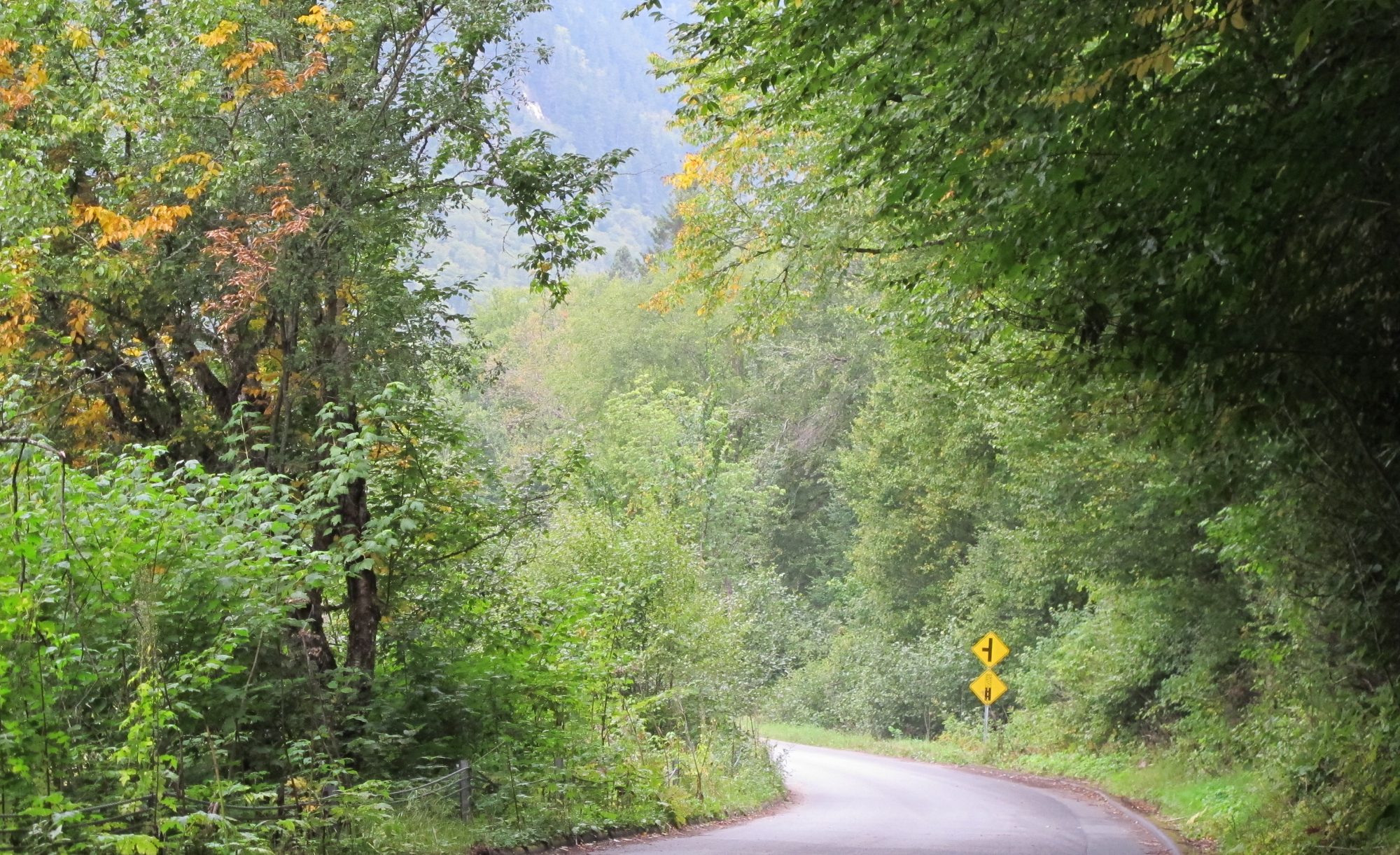 Carretera entre arboles y naturaleza en Canada